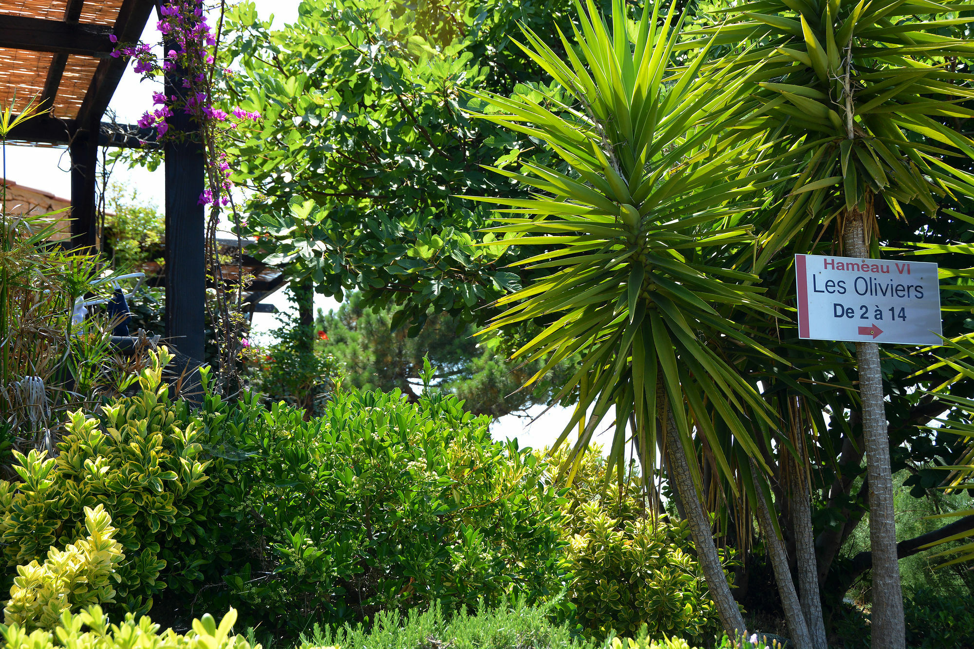 Residence Alba Rossa Serra-di-Ferro (Corsica) Exterior foto